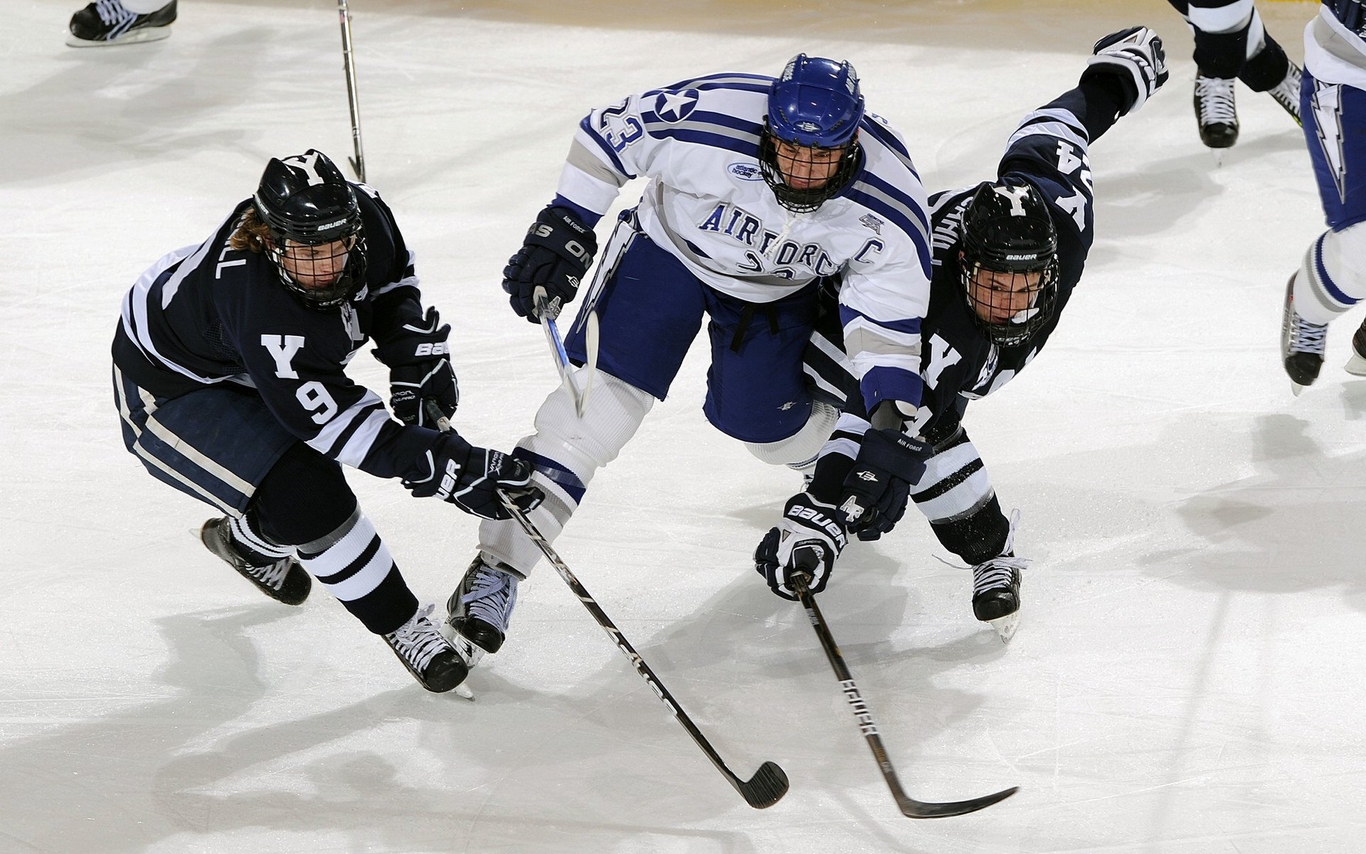 国家健身指导中心推广全民健康理念,国家健身指导中心推广全民健康理念活动