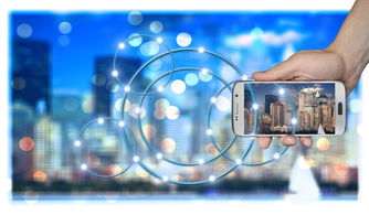 开云体育app下载-中国篮球职业俱乐部财务风险管理策略研究，篮球俱乐部运营情况